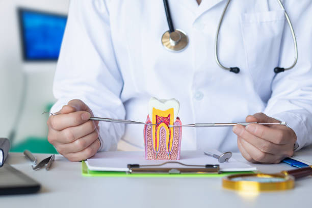 Best Emergency Root Canal Treatment in El Dorado Hills, CA